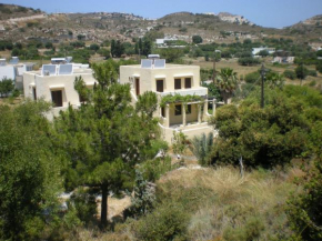 Zini 1